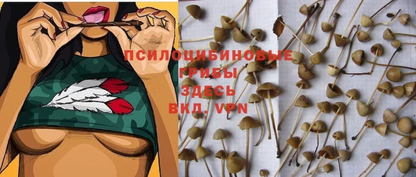 метадон Козельск