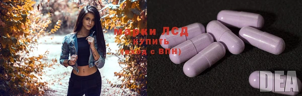 ГАЛЛЮЦИНОГЕННЫЕ ГРИБЫ Карпинск