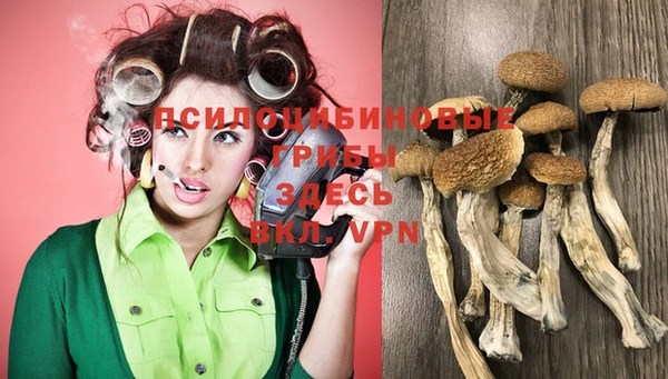трава Киренск